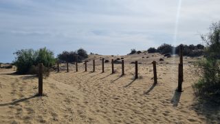 2023-GC--Mapalomas dunas-S123-217.jpg